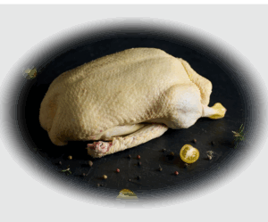 Free Range Duck from Challans